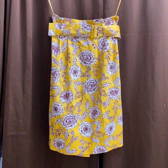 Alex Marie Dresses & Skirts - Sz 8 Alex Marie skirt w/belt